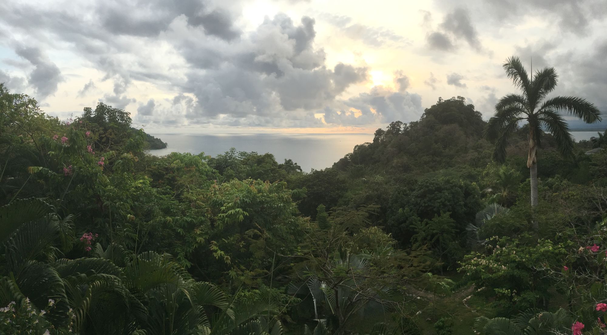 Casa Mogambo, Tulemar Beach, Manuel Antonio, Costa Rica