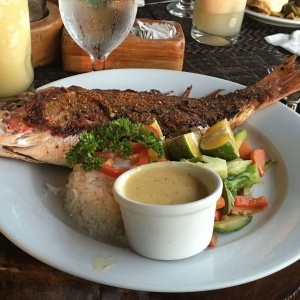 Top Restaurants in Manuel Antonio & Quepos