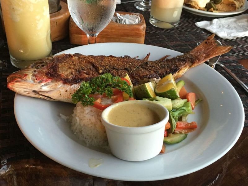 Top Restaurants in Manuel Antonio & Quepos