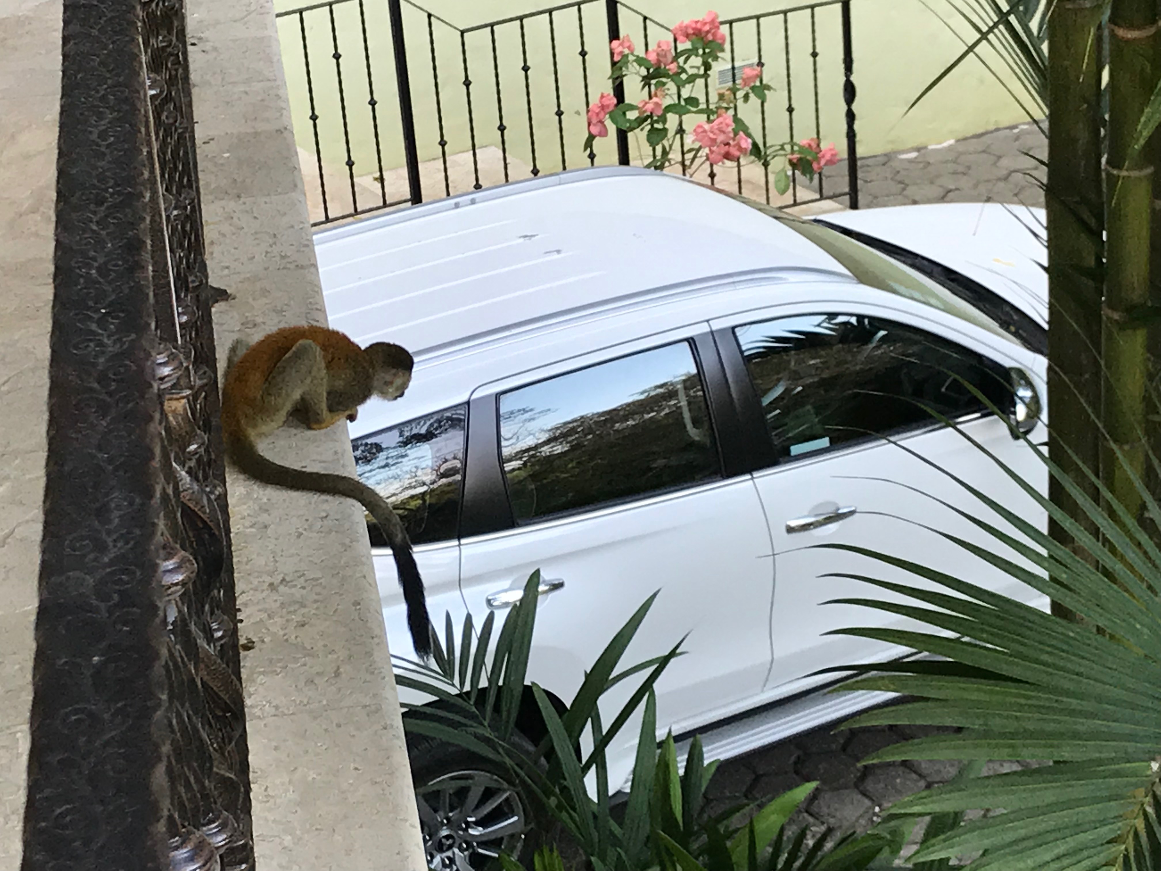 Waiting for guests to leave