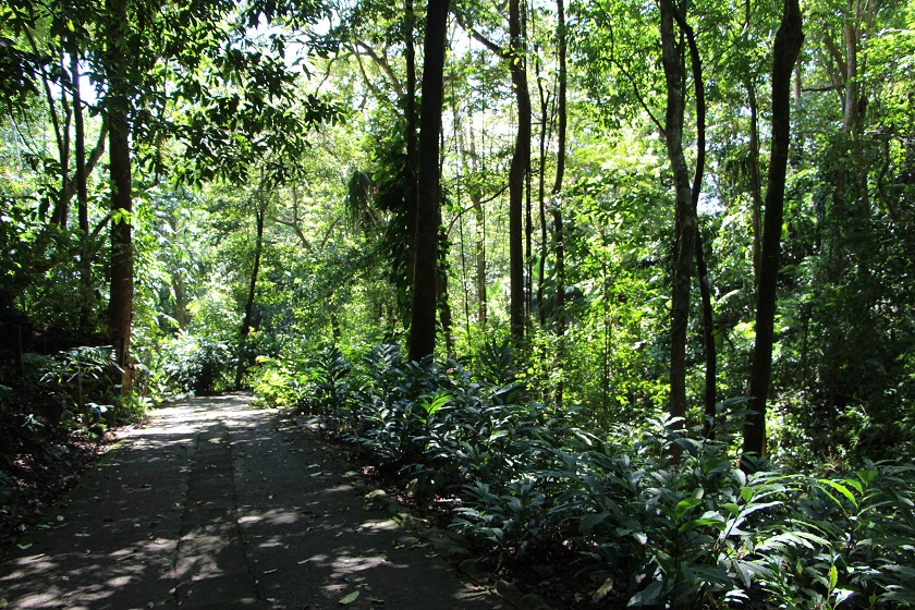 Main Drive - Casa Mogambo Luxury Vacation Rental Villa - Manuel Antonio Costa Rica