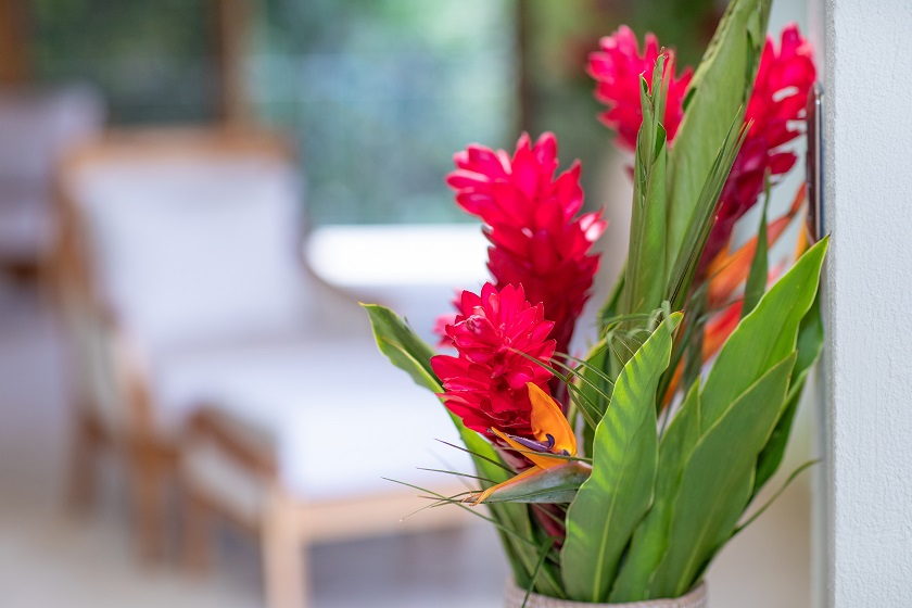 Solarium Flowers - Casa Mogambo Luxury Vacation Rental Villa - Manuel Antonio Costa Rica