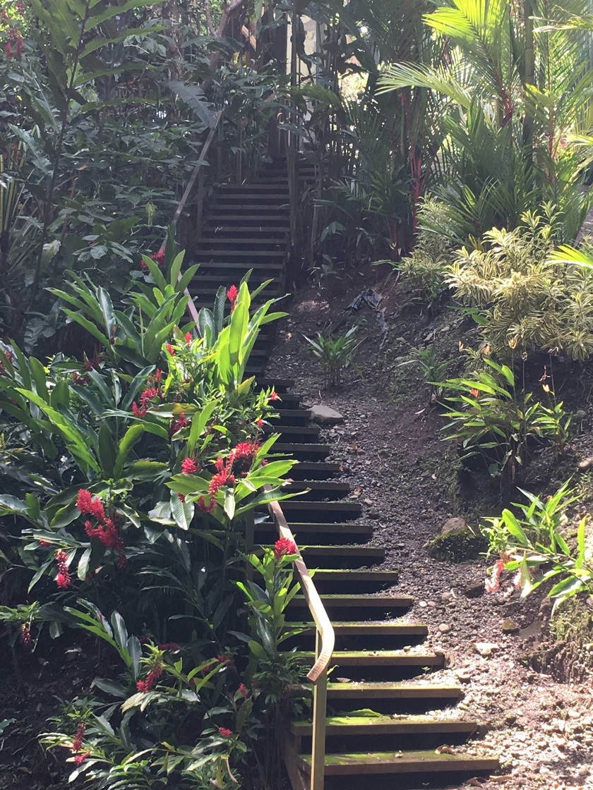 Stairs - Casa Mogambo Luxury Vacation Rental Villa - Manuel Antonio Costa Rica