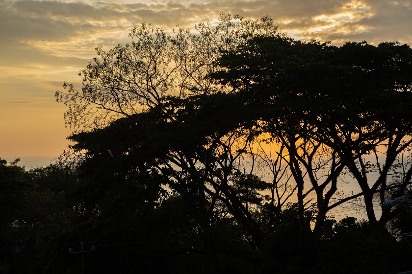 Sunset Trees - Casa Mogambo Luxury Vacation Rental Villa - Manuel Antonio Costa Rica