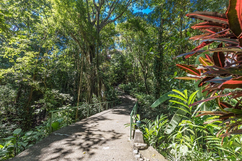 Bridge - Casa Mogambo Luxury Vacation Rental Villa - Manuel Antonio Costa Rica