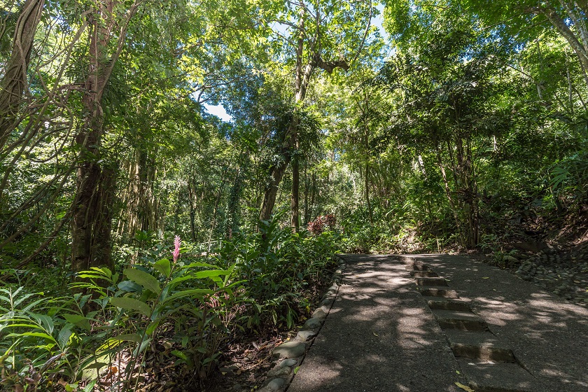 Lower Drive and Bridge - Casa Mogambo Luxury Vacation Rental Villa - Manuel Antonio Costa Rica