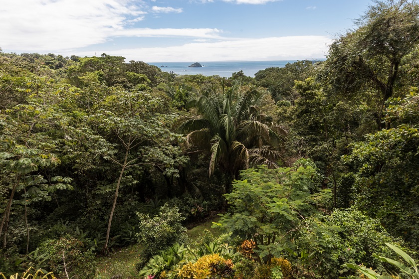 Lush Jungle and Ocean View Property - Casa Mogambo Luxury Vacation Rental Villa - Manuel Antonio Costa Rica